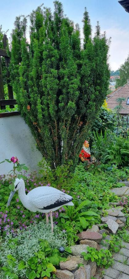 Pokoje Goscinne Duszniki Zdrój Exteriör bild